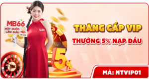 thang cap vip thuong 5 nap dau