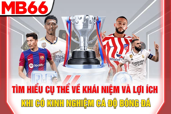 Tìm hiểu cụ thể về khái niệm và lợi ích khi có kinh nghiệm cá độ bóng đá